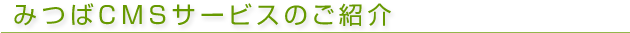 �ߤĤ�CMS�����ӥ��Τ��Ҳ�